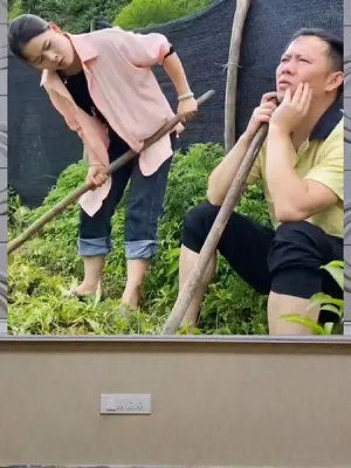 娱乐八卦是吃瓜群众,揭秘“吃瓜群众”的娱乐八卦盛宴