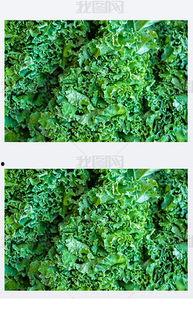 青葉 资料 第3张 青葉 资料 第3张